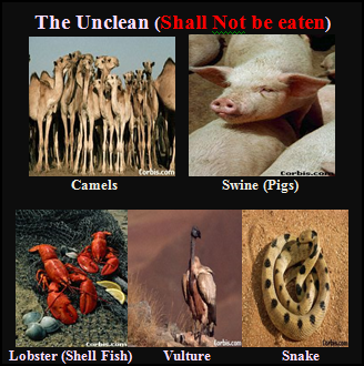 Unclean